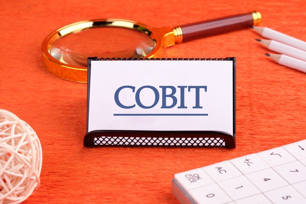 COBIT 19 Training